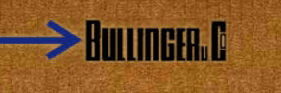 Bullinger Speditions GmbH & Co KG Bullinger Speditions GmbH & Co KG