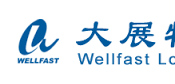 China Wellfast Logistics