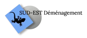 Sud-Est D&eacute;m&eacute;nagement