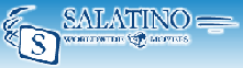 T.I.S. Salatino Worldwide Movers T.I.S. Salatino Worldwide Movers