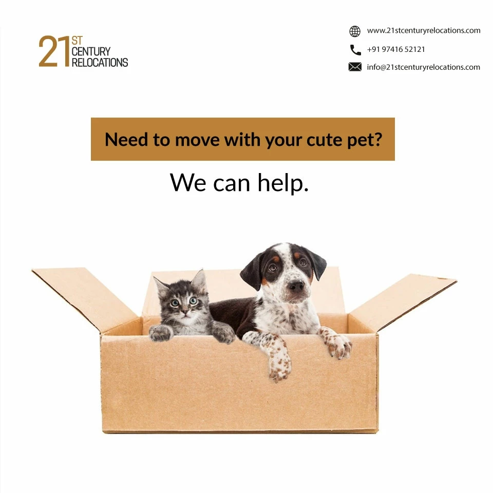 21st Century Relocations_3