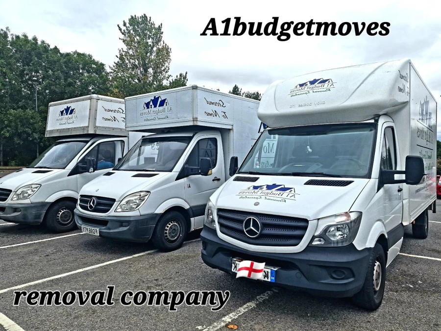 A1 Budget Moves_1