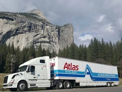 Ace Relocation Systems_1