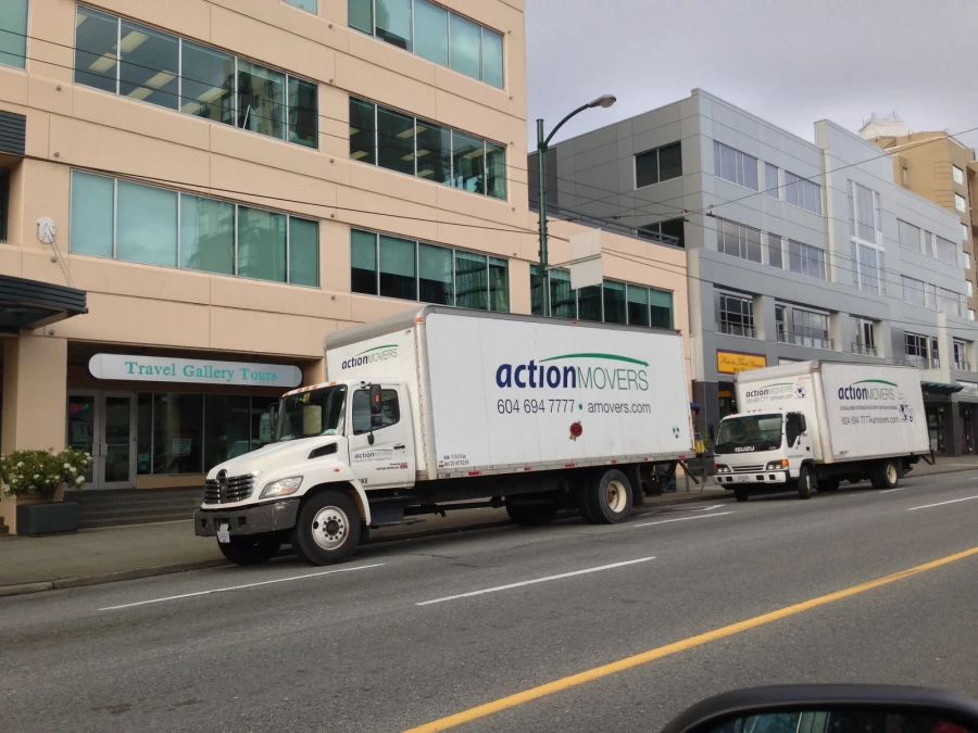 Action Contents & Moving_2