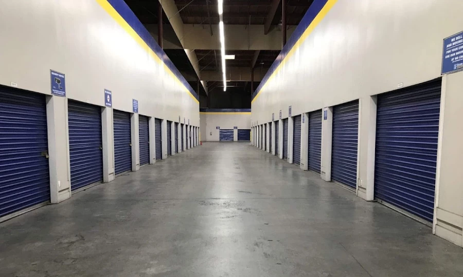 Adamantine Spine Moving_2