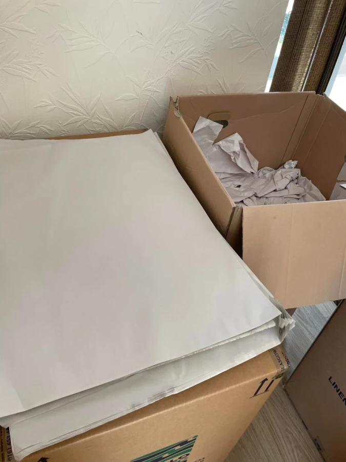 Advance Removals_4