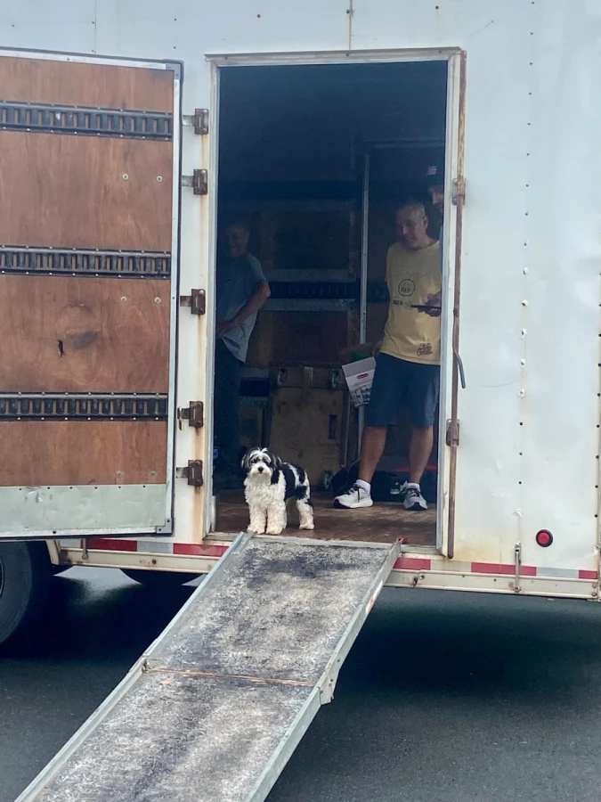 Affordable Canadian Movers_2
