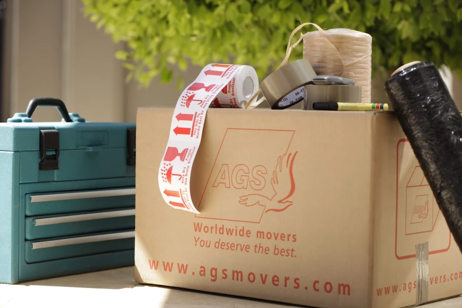 AGS Four Winds India_2