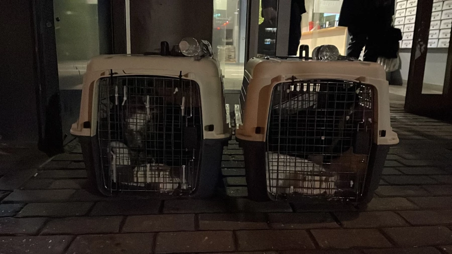 Air Sea Forwarding_1