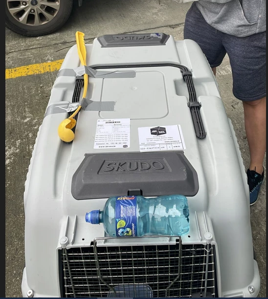 Air Sea Forwarding_2