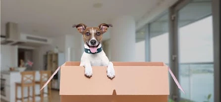 Air Sea Forwarding_3