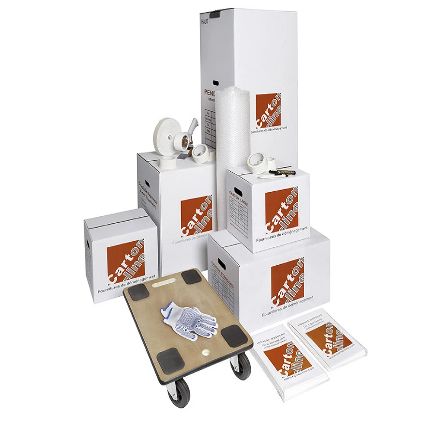 Allô Déménagements SFD_4