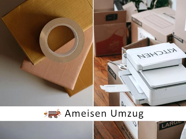 Ameisen Umzug_5