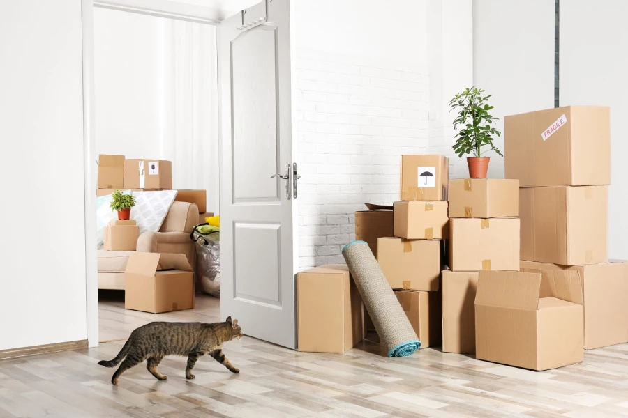 American Fargo Moving & Storage_5