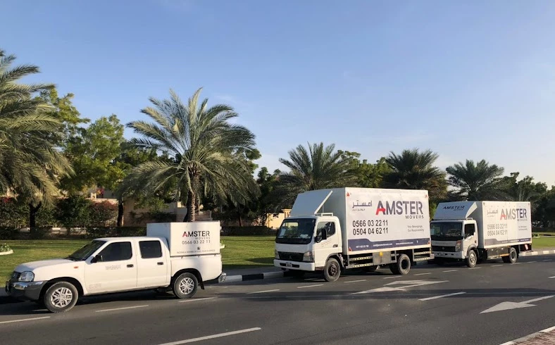 Amster Movers_5