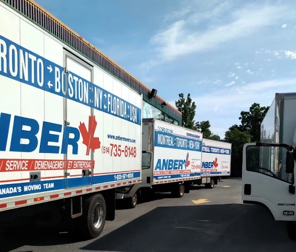 Anber Movers_2