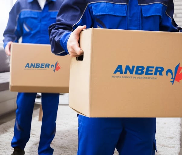 Anber Movers_4