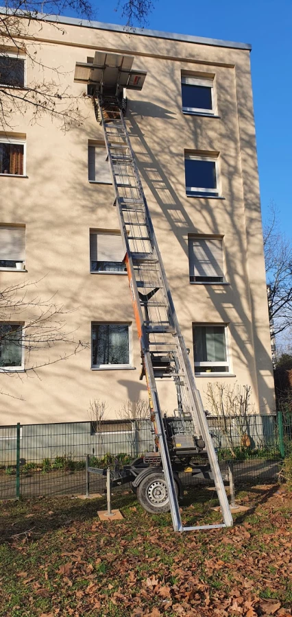 Apostel Umzüge Hofheim_3