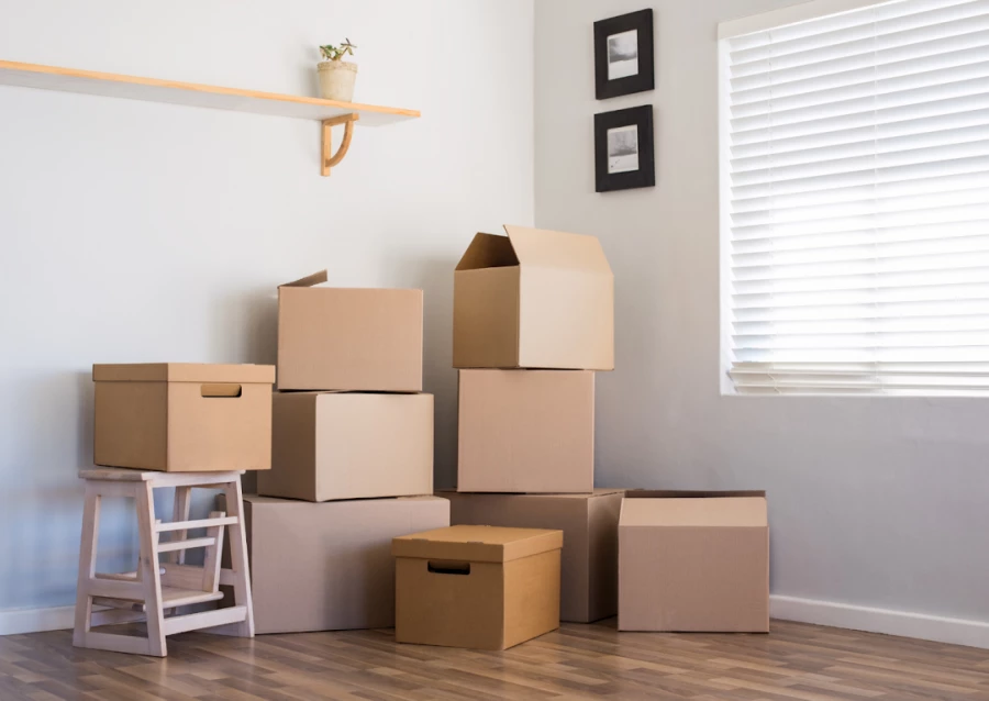 A.R di Andrei Rumega_1