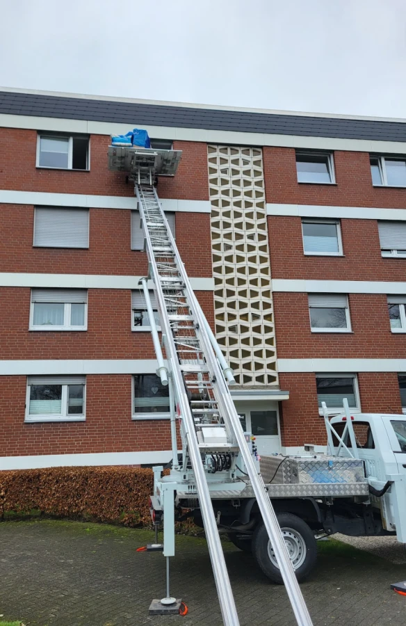 Ariana Umzug & Transport_4