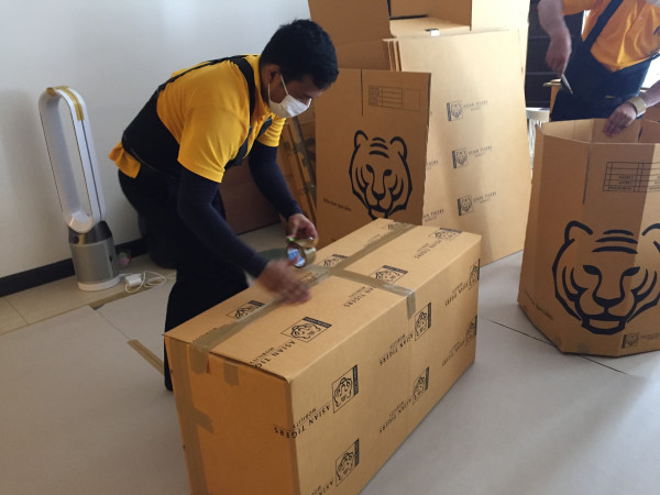 Asian Tigers Group_1