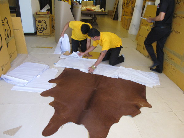 Asian Tigers Group_3