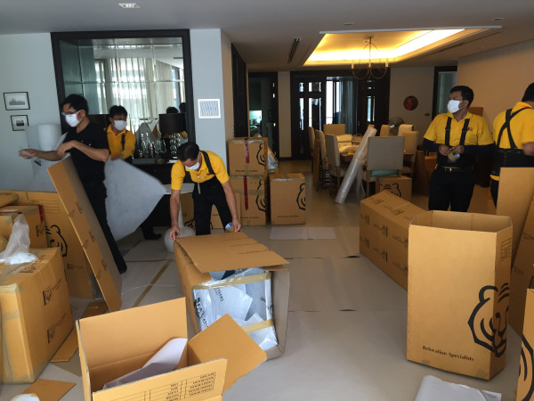 Asian Tigers Group_5