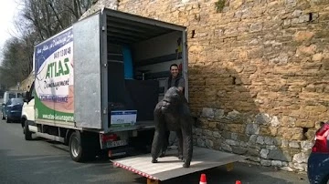 ATLAS Moving Lyon (ATLAS Déménagement)_1