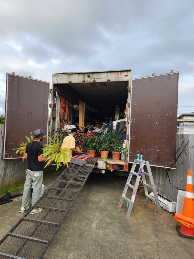 Auckland Kiwi movers_2