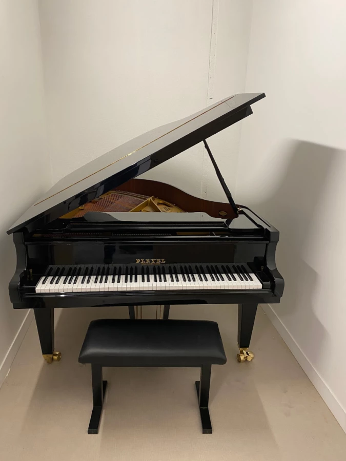 Aux Déménagements des Monts Lyonnais_2