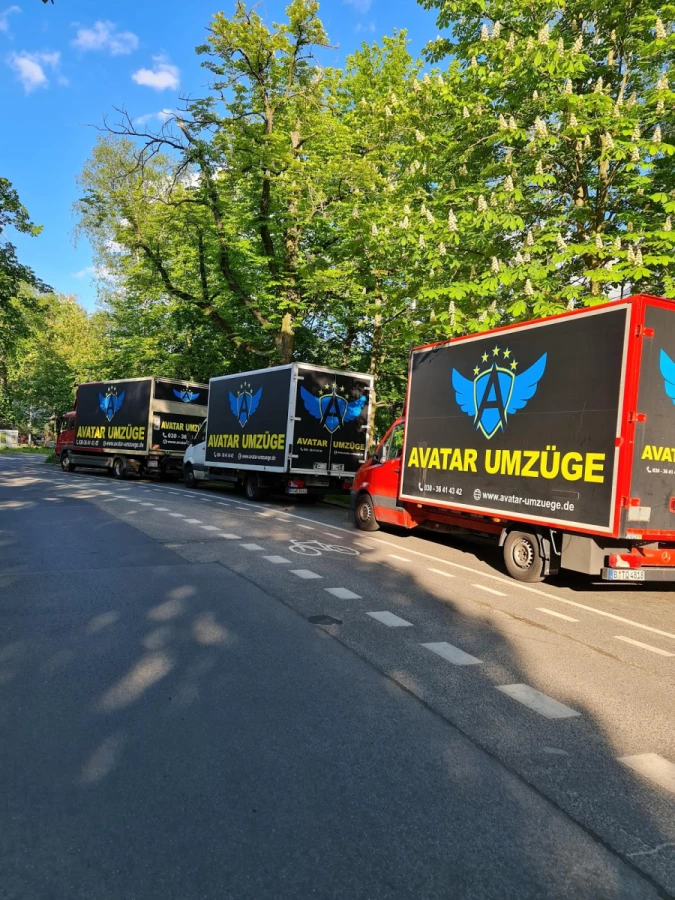 Avatar Umzüge_2