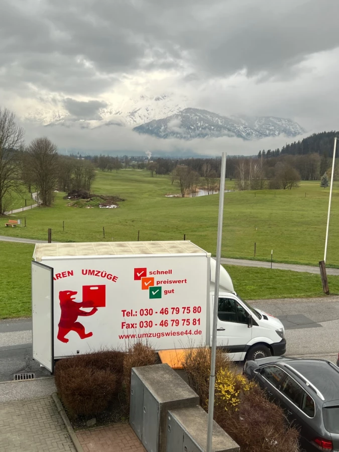 Bären Umzüge Berlin_2