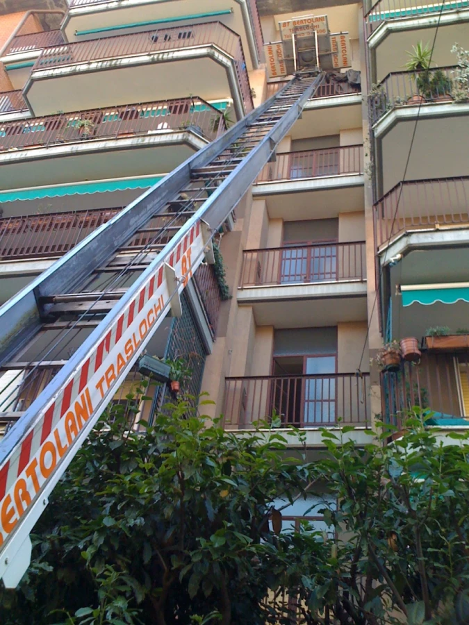 Bertolani Traslochi Snc Di Bertolani Daniele & C._1