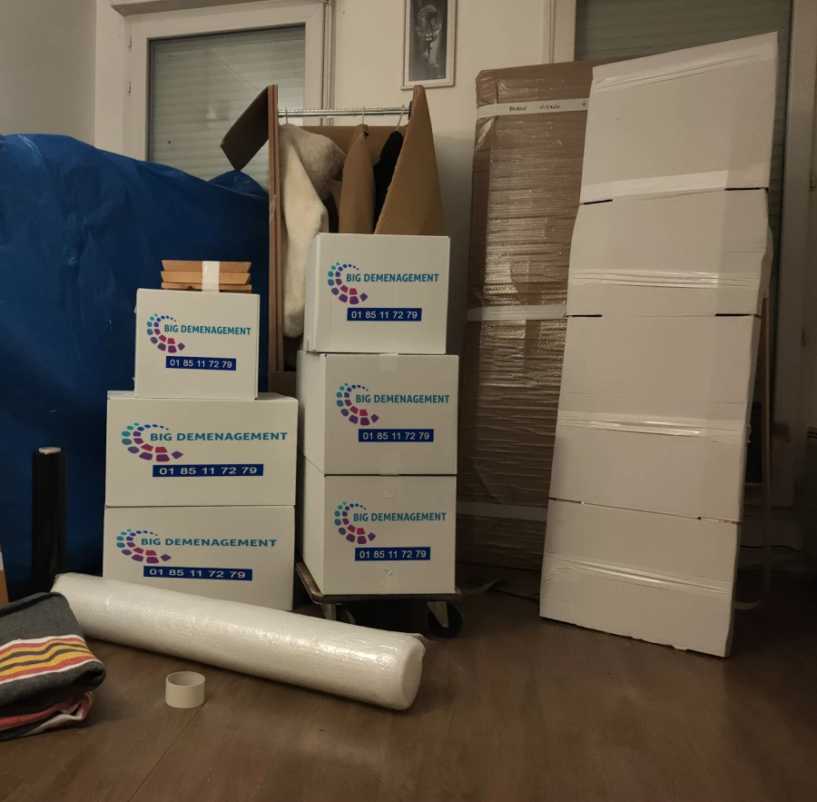 Big Déménagement_5
