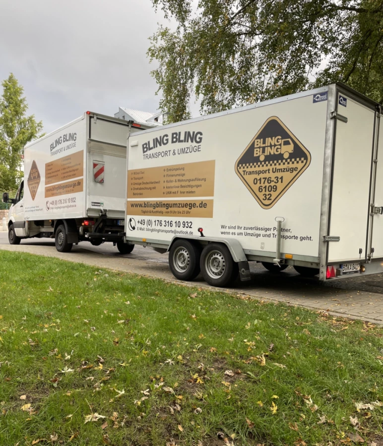Bling Bling Umzüge_2