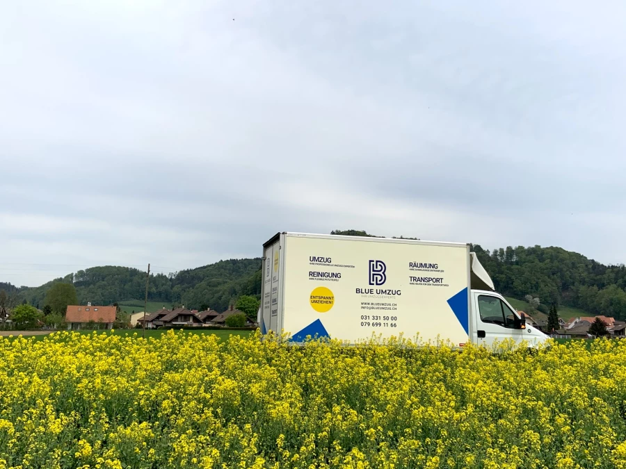 Blue Umzug GmbH_2