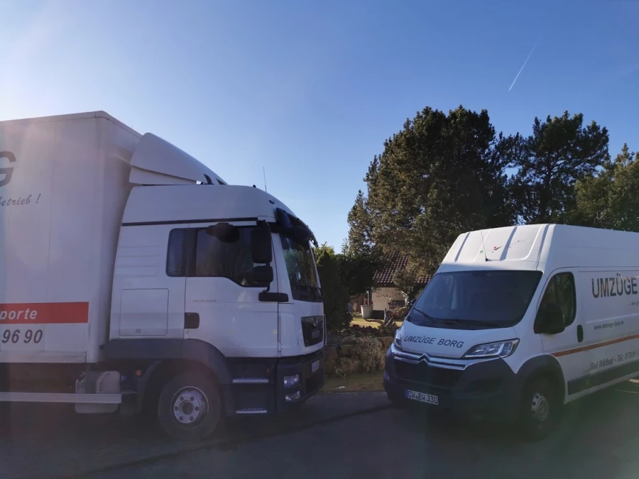 Borg Umzüge_5