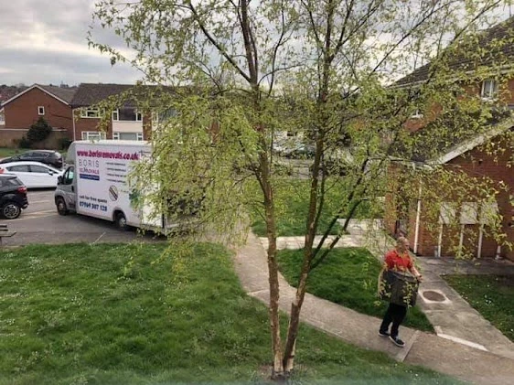Boris Removals_5