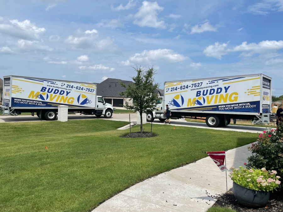 Buddy Moving_2