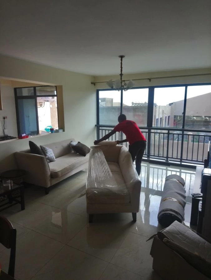 Cants Movers_3