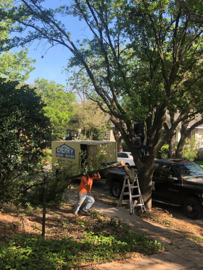 Cherry House Moving_2