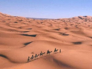 Clignancourt Transport et Déménagement_4