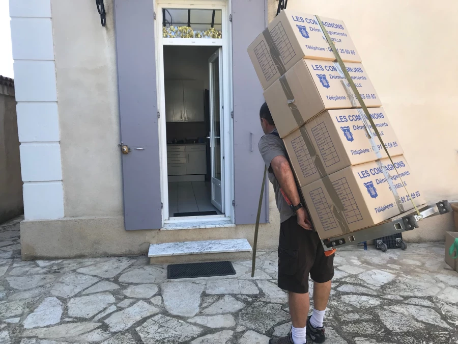 Compagnons Du Demenagement_1