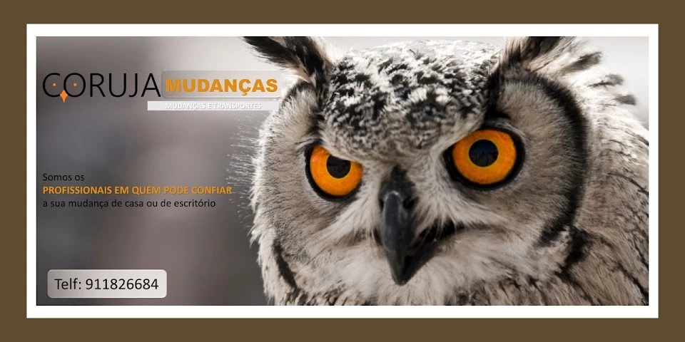 Coruja Mudanças_1
