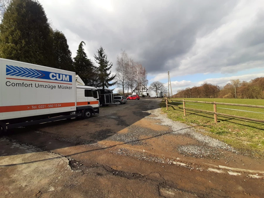 CUM Umzüge_1