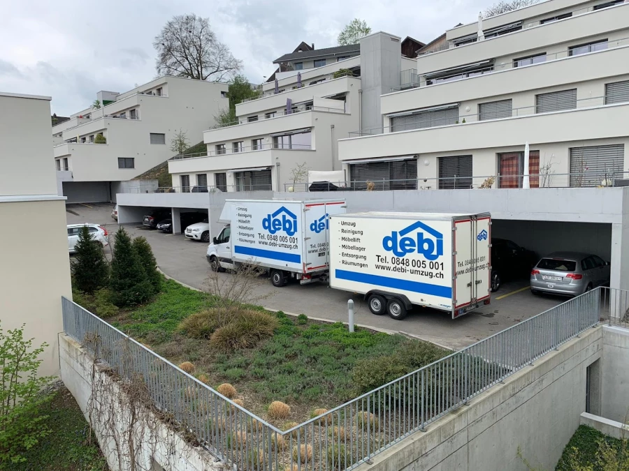 Debi Umzug_1