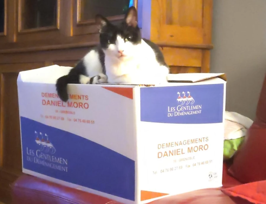 Déménagement Daniel & Christophe MORO_4