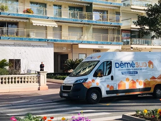 Déménagement Démésud_1