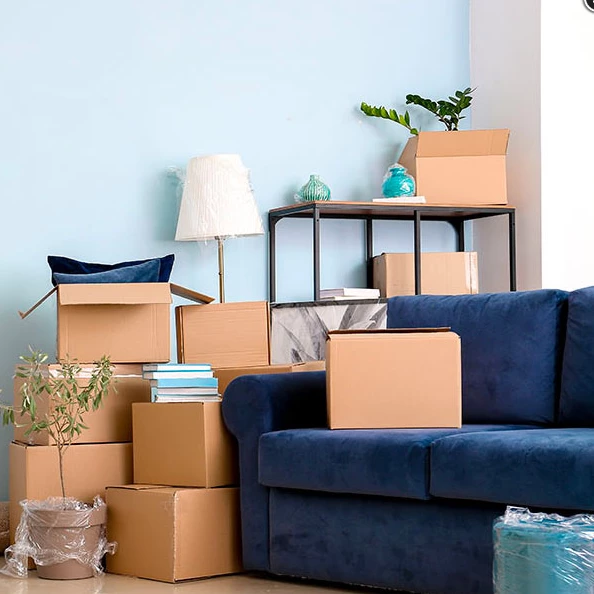 Déménagement Julien_1