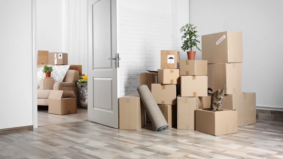 Déménagement Le Guluche_1